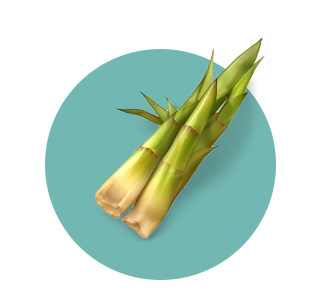 Dry Extract of Bamboo Shoot Exudate