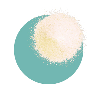 Hydrolyzed Patented Cartidyss® Type II Collagen (fish)