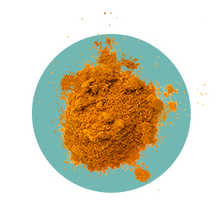 Iron, copper, manganese, vitamin C, vitamins B1, B5, B8, and B12