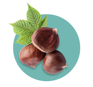 Horse Chestnut Seed Extract